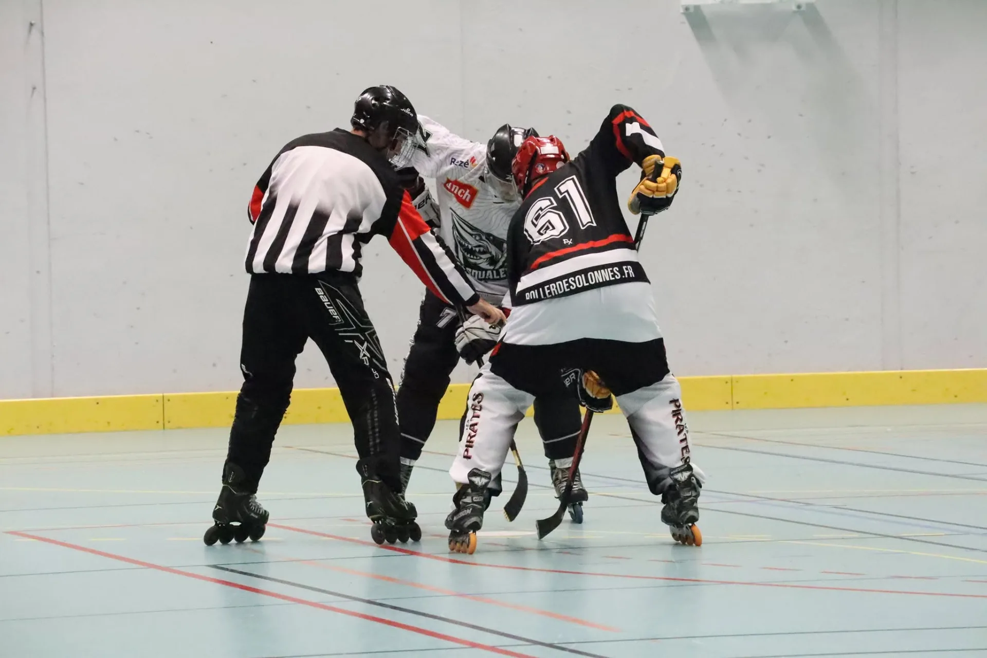 Roller hockey